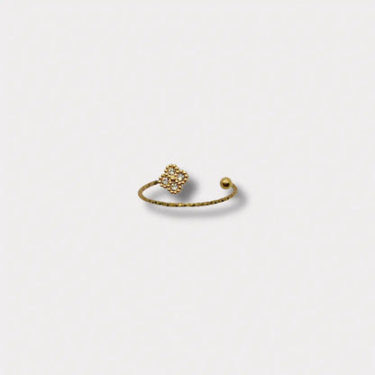BAGUE ALMA NALAYA
