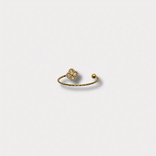 BAGUE ALMA NALAYA