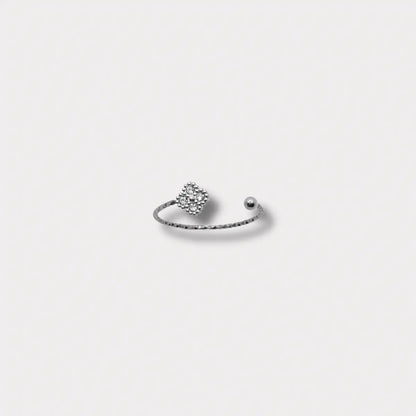 BAGUE ALMA NALAYA