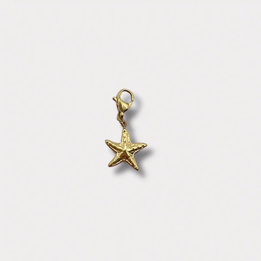 CHARM ÉTOILE DE MER NALAYA